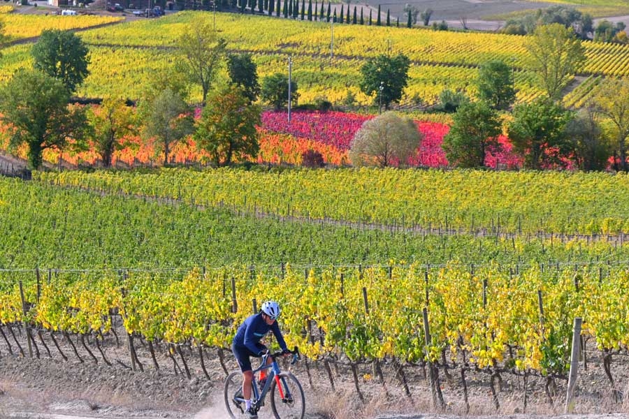 Nasce Val d’Orcia Gravel, primo evento nelle terre patrimonio dell’Umanità UNESCO